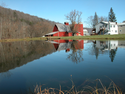 Dscn0479b.jpg (400x300; 36KB)