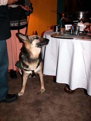 Dscn0498a.jpg (300x400; 38KB)